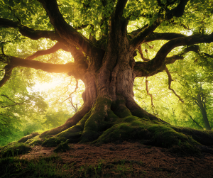 To Bend without Breaking