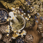 Herbs & Oils for Personal Power: Ancient Allies for Modern Magic