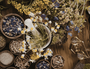 Herbs & Oils for Personal Power: Ancient Allies for Modern Magic