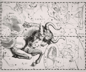 May’s New Moon in Taurus: Planting Seeds Beneath a Rare Blue Moon Season