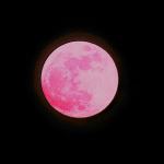 Reflecting on the Strawberry Moon: What Has Ripened Within You?