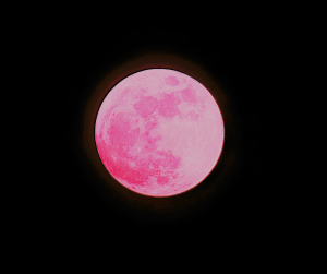 Read more about the article Reflecting on the Strawberry Moon: What Has Ripened Within You?