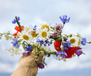Read more about the article Celebrating July 4th as a Witch, Pagan, or Wiccan: Honoring Freedom, Fire, and the Height of Summer